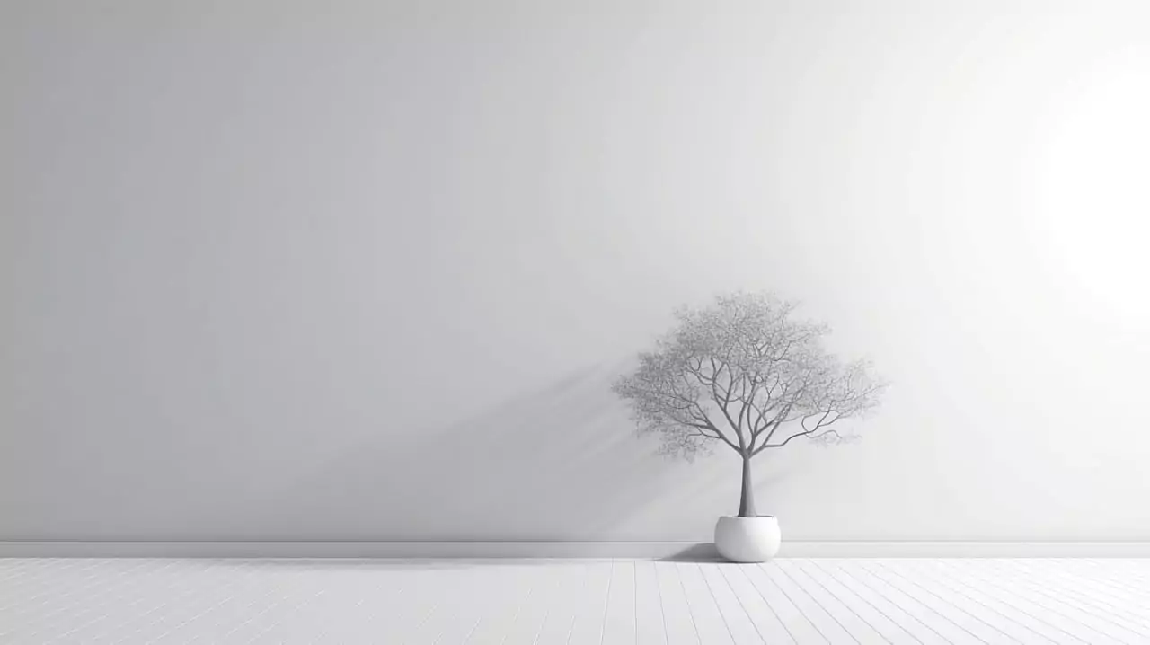 Professional plastering by Cornwall Builder